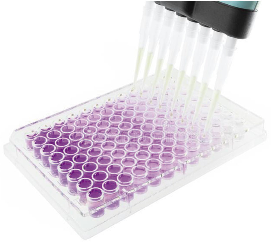 Testes Sorológicos Qualitativos Elisa