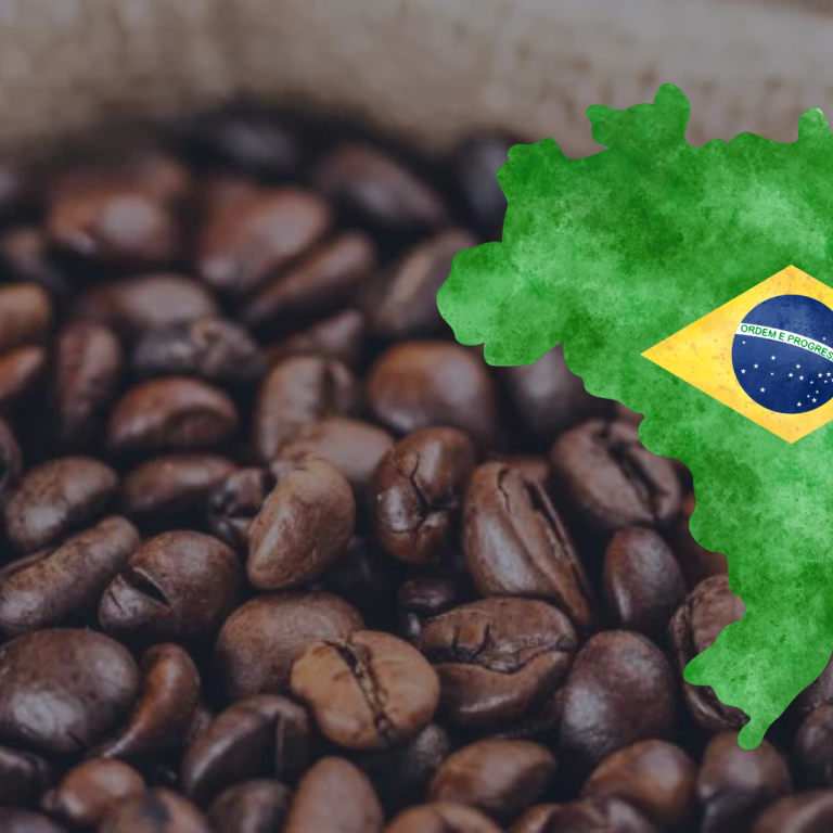 EXPORTAÇÃO PRODUTOS BRASILEIROS